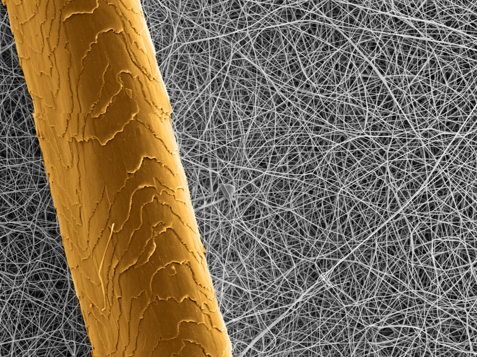 A single human hair against a nanofiber mesh